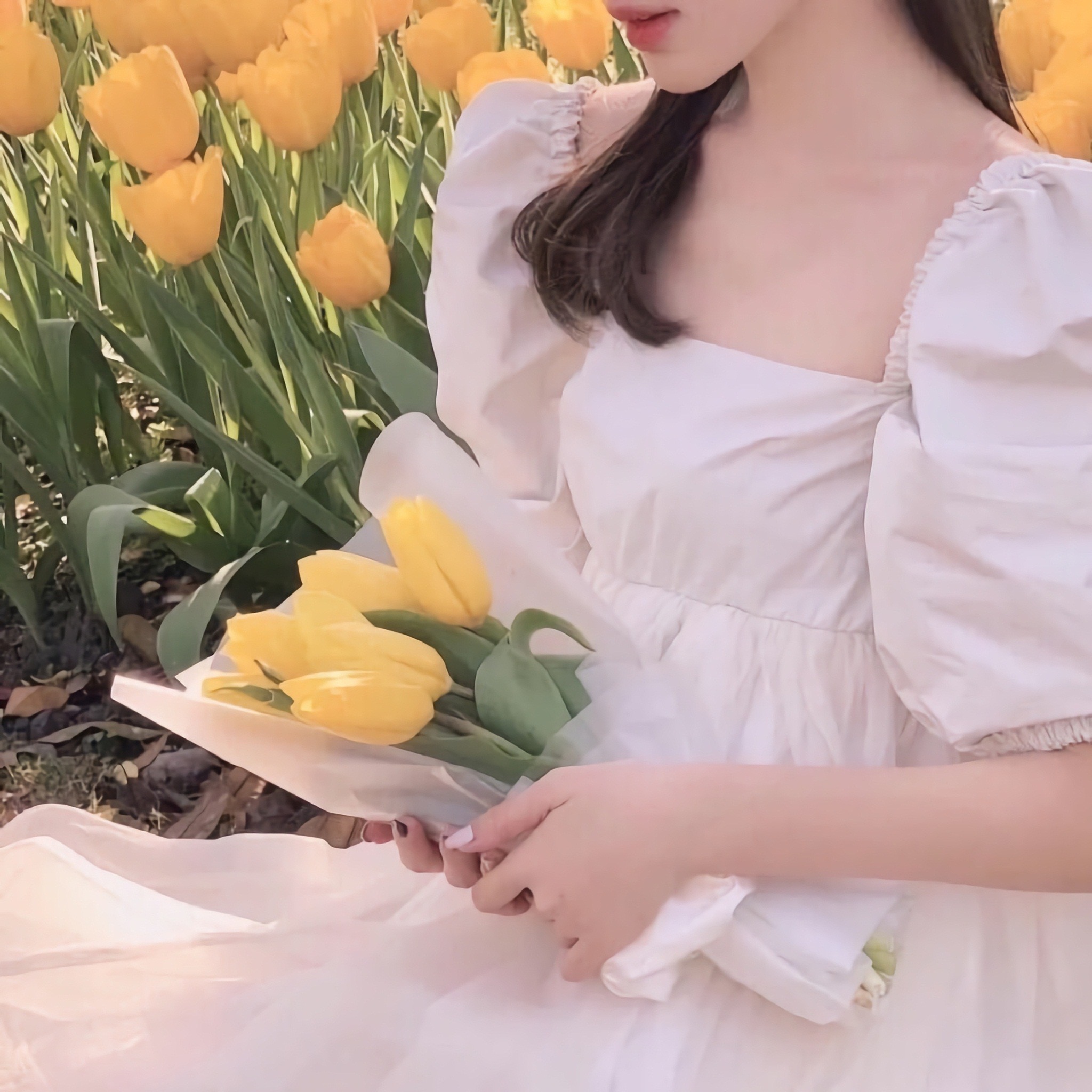 本田大辅（饰 儿玉） - 动漫新番免费在线观看 - 云端影视
